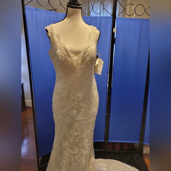 Elegant  Ivory Wedding Dress - Picture 16 of 17